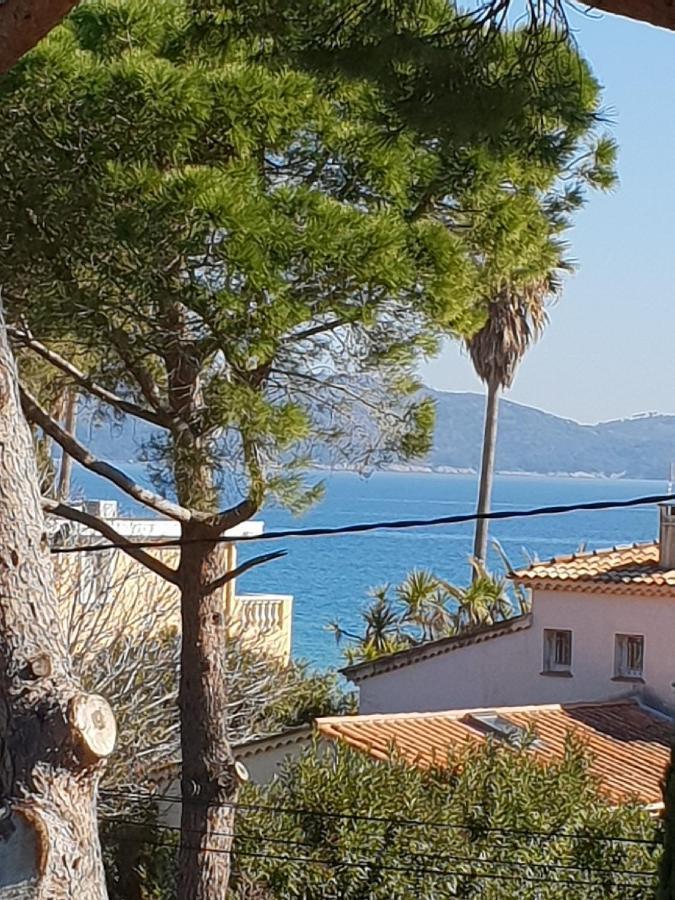 Superbe Appartement Cosy Vue Mer Pieds Dans L'Eau Cavalaire-sur-Mer Buitenkant foto